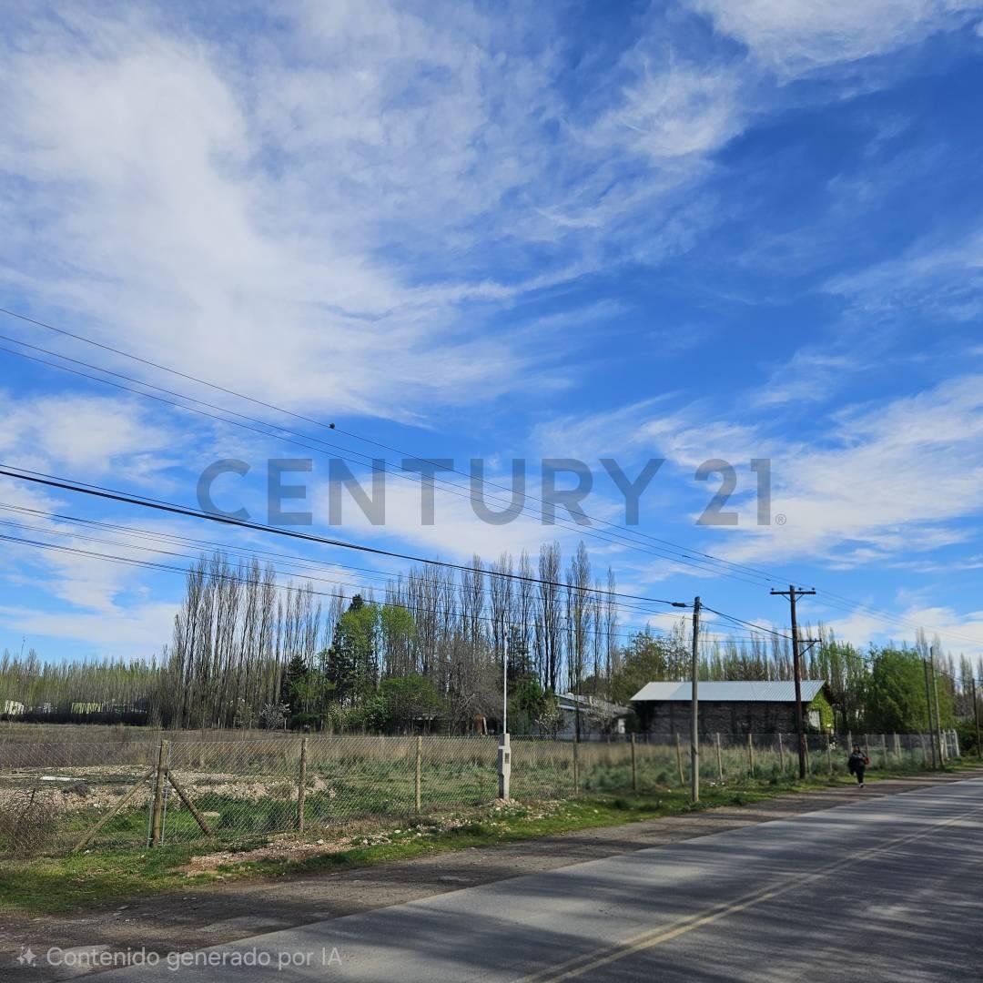Foto de VENTA CHACRA 3.14 HECTÁREAS – PLOTTIER ZONA URBANA, imagen 2
