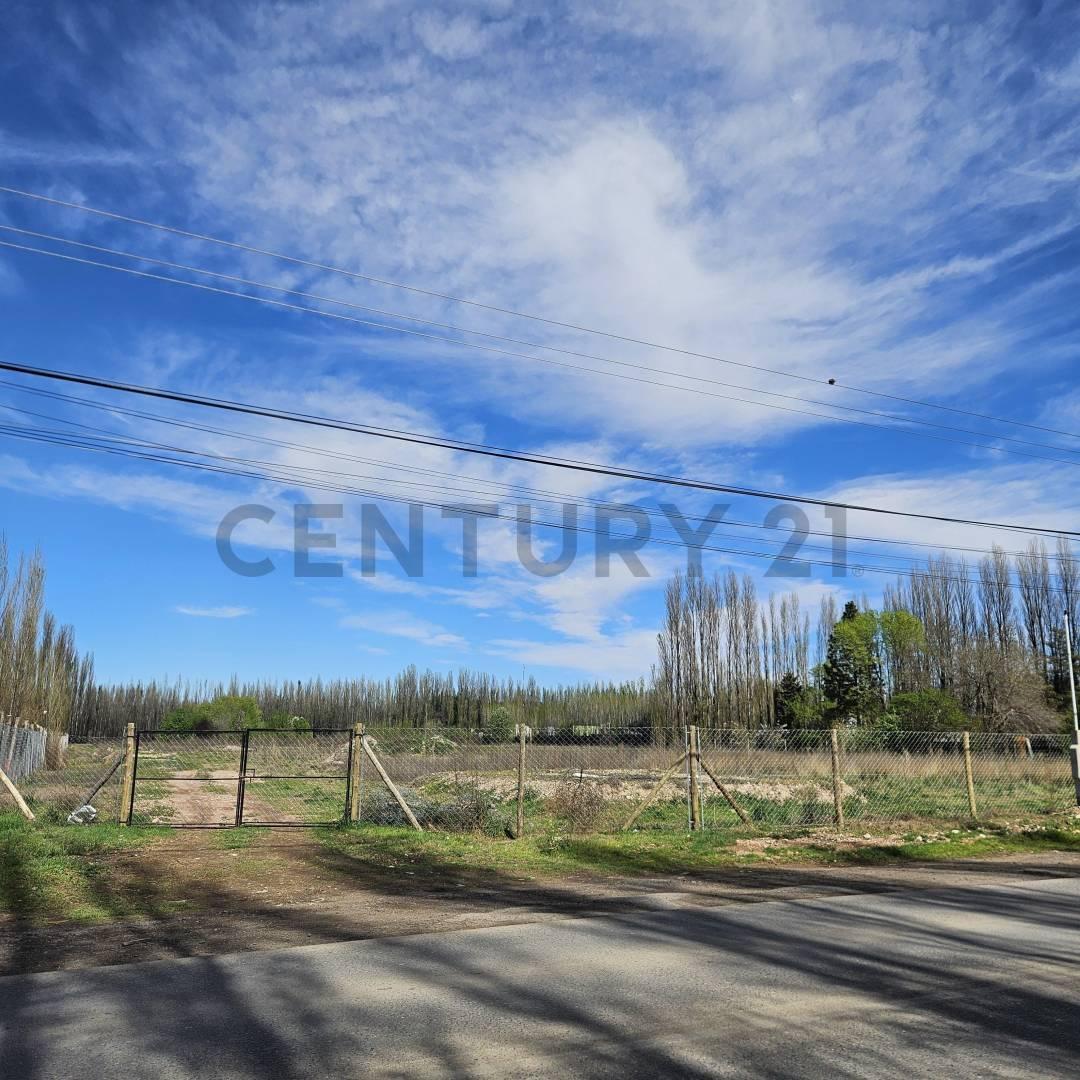 Foto de VENTA CHACRA 3.14 HECTÁREAS – PLOTTIER ZONA URBANA, imagen 5