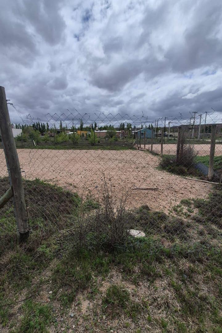 Foto de Terreno en venta Los Frutales Neuquen, imagen 5