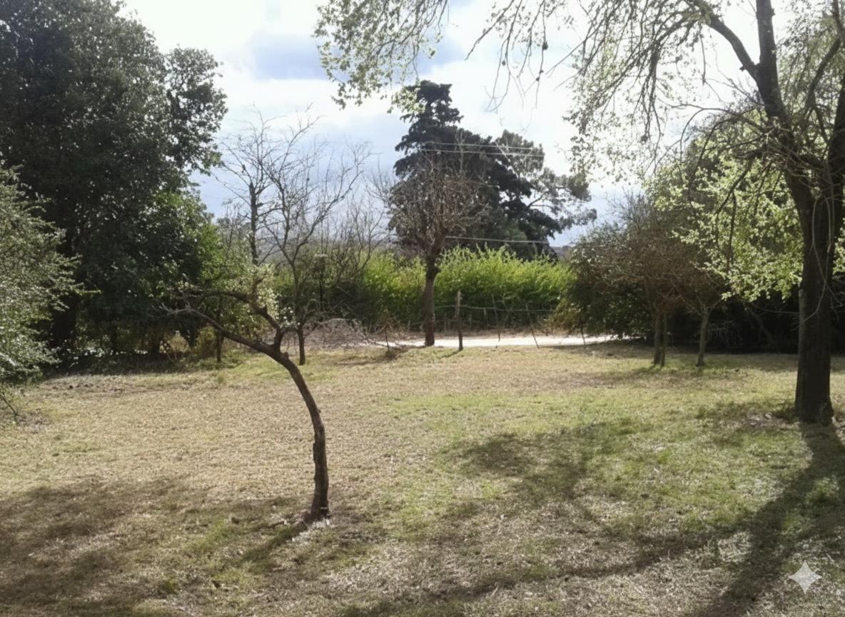 Foto de Terreno de 825 m² en venta en Valle Hermoso, imagen 4
