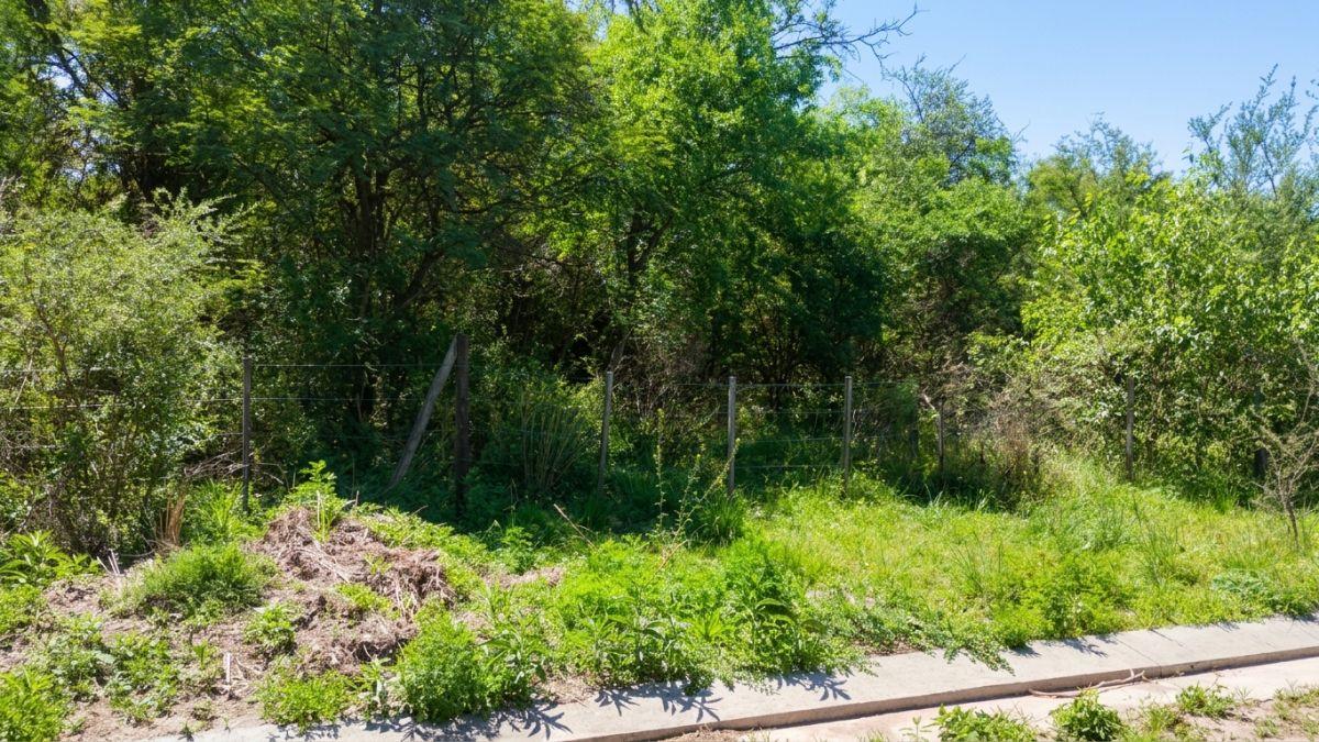 Foto de Excelente Lote de 500 m² en Barrio Lomas del Chañar – Río Ceballos |, imagen 2