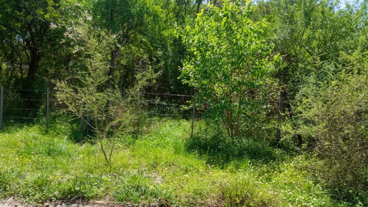 Foto de Excelente Lote de 500 m² en Barrio Lomas del Chañar – Río Ceballos |, imagen 5
