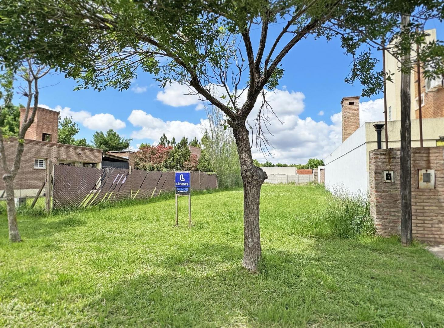 Foto de Terreno en venta, imagen 3