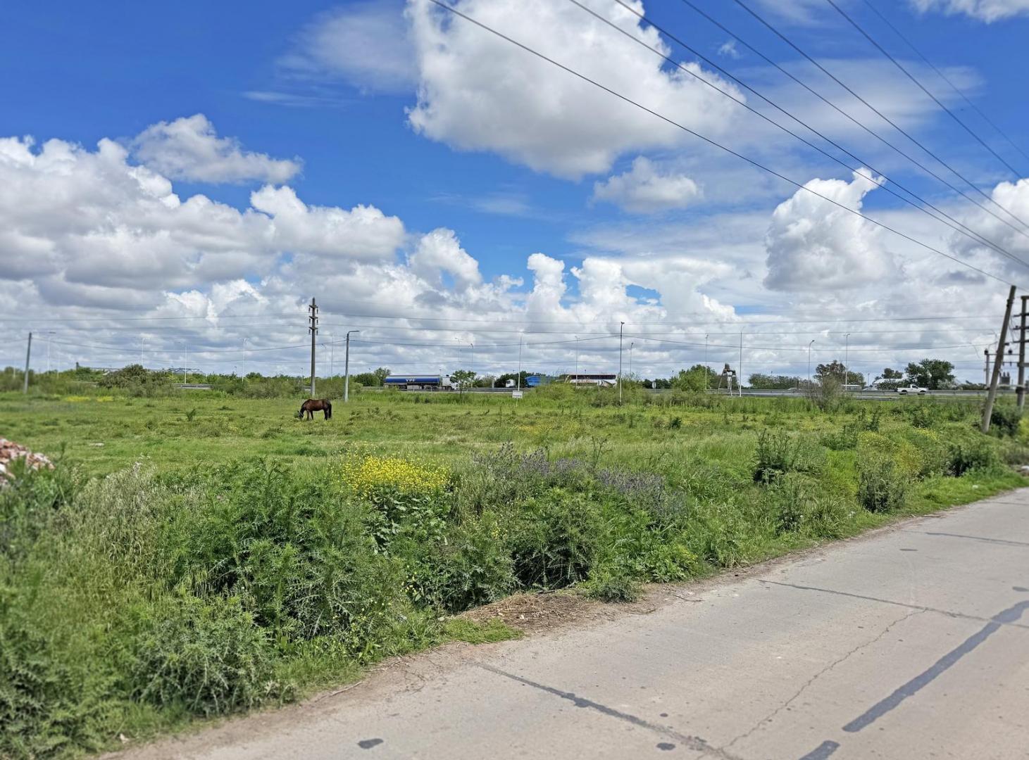 Foto de Terrenos en venta, imagen 2