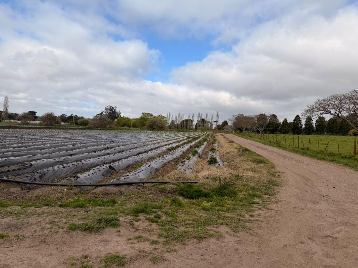 Foto de Campo en Sierra de los Padres, imagen 4