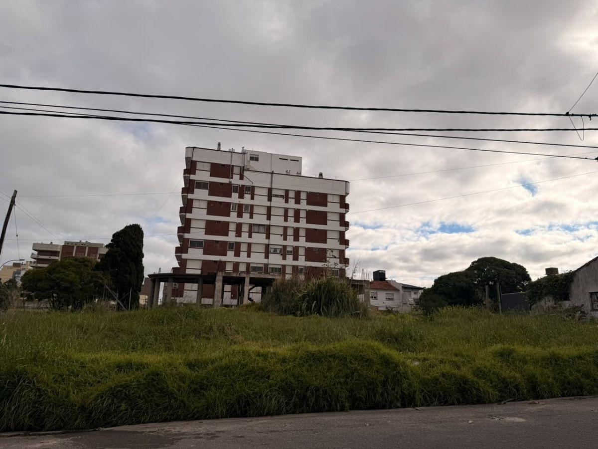 Foto de Terreno en Punta Mogotes, imagen 3