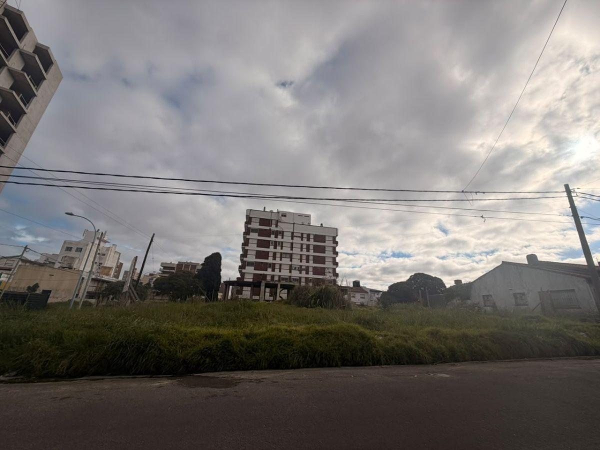 Foto de Terreno en Punta Mogotes, imagen 4