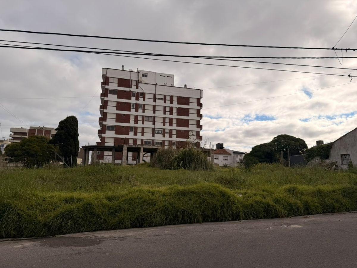 Foto de Terreno en Punta Mogotes, imagen 1