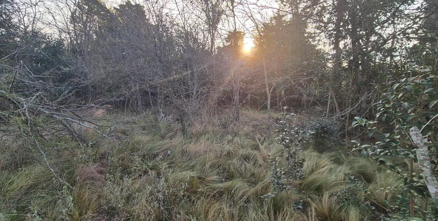 Venta de Terreno en Potrero De Garay 3