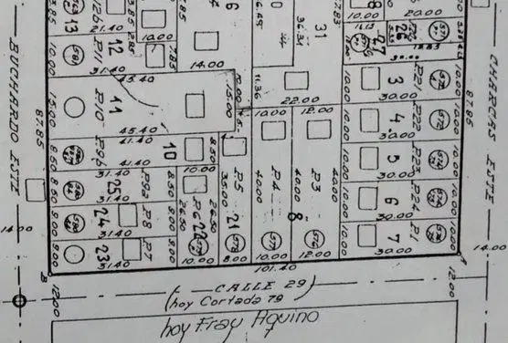 Venta terreno para desarrollo General Pueyrredon 3