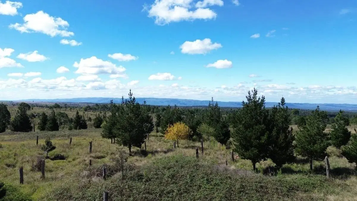 Venta de Campo en Yacanto Calamuchita 7
