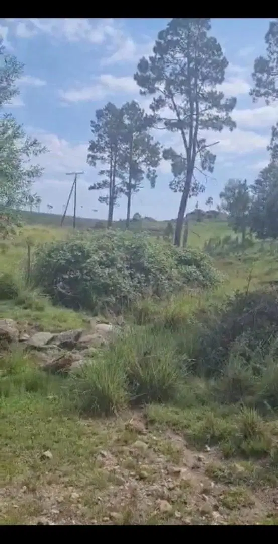 Venta de Campo en Yacanto Calamuchita 5