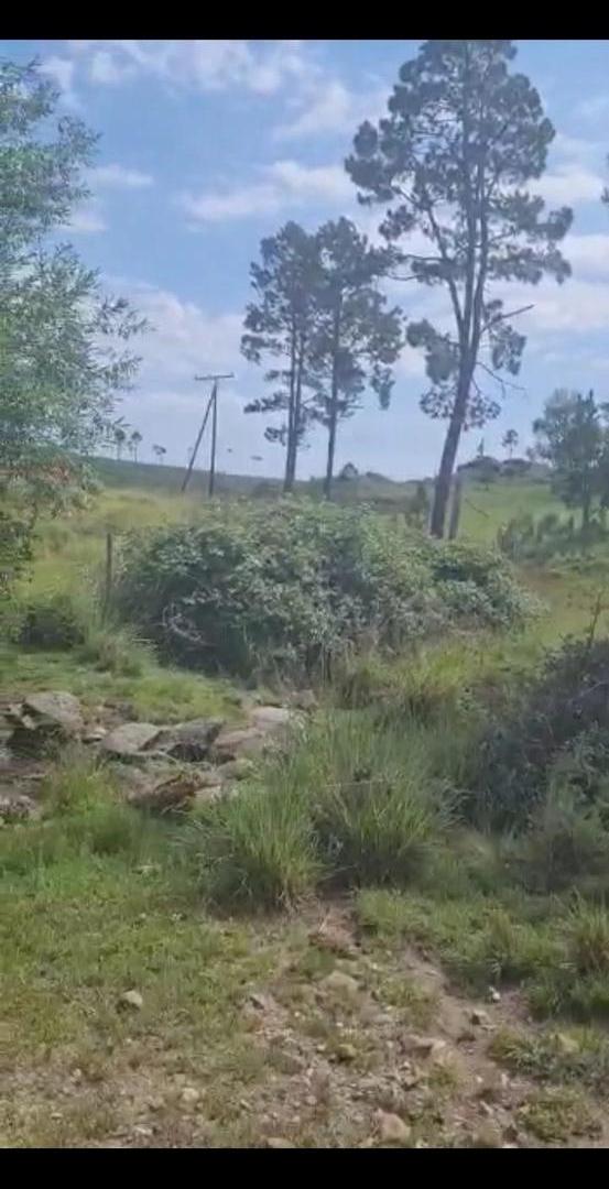 Foto de Venta de Campo en Yacanto Calamuchita, imagen 4