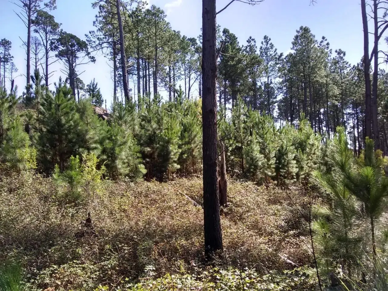 Venta de Campo en Yacanto Calamuchita 3