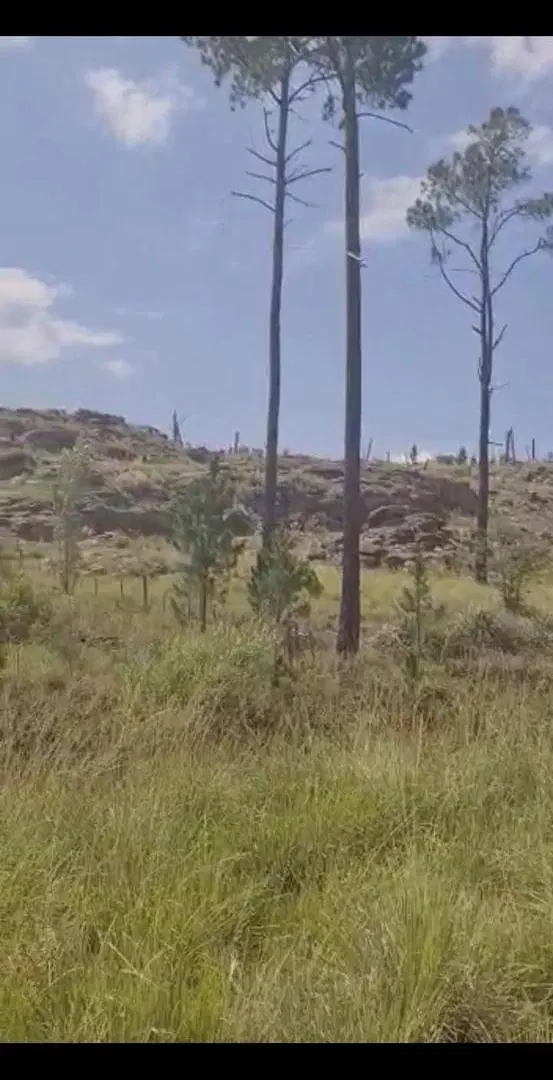 Venta de Campo en Yacanto Calamuchita 2