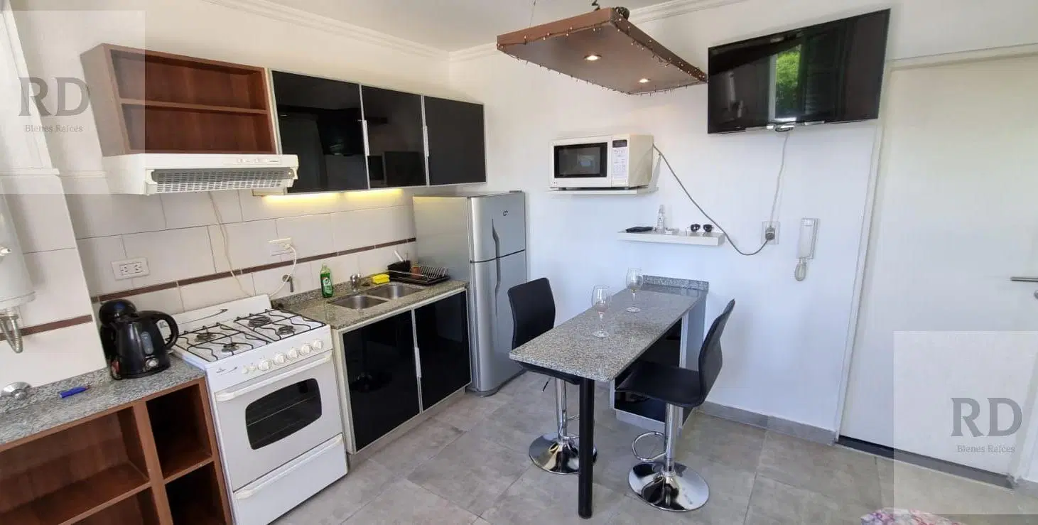 Departamento en alquiler monoambiente amoblado en Luis Agote 4