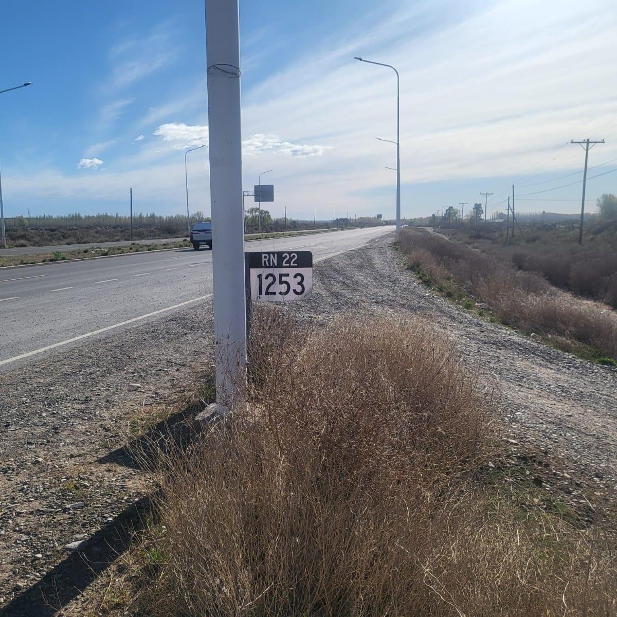 Foto de Terreno sobre ruta 22 en Senillosa, imagen 5