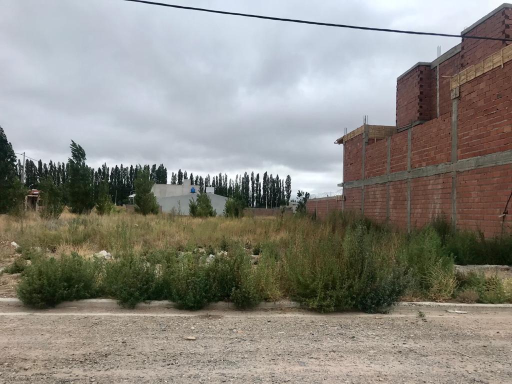 Terreno - Plottier 3