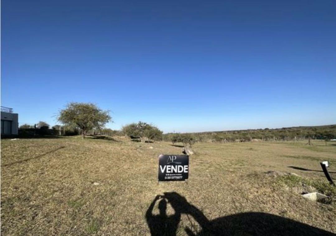 Foto de VENTA LOTE PERIMETRAL 1.200m² LA ARBOLADA, imagen 5