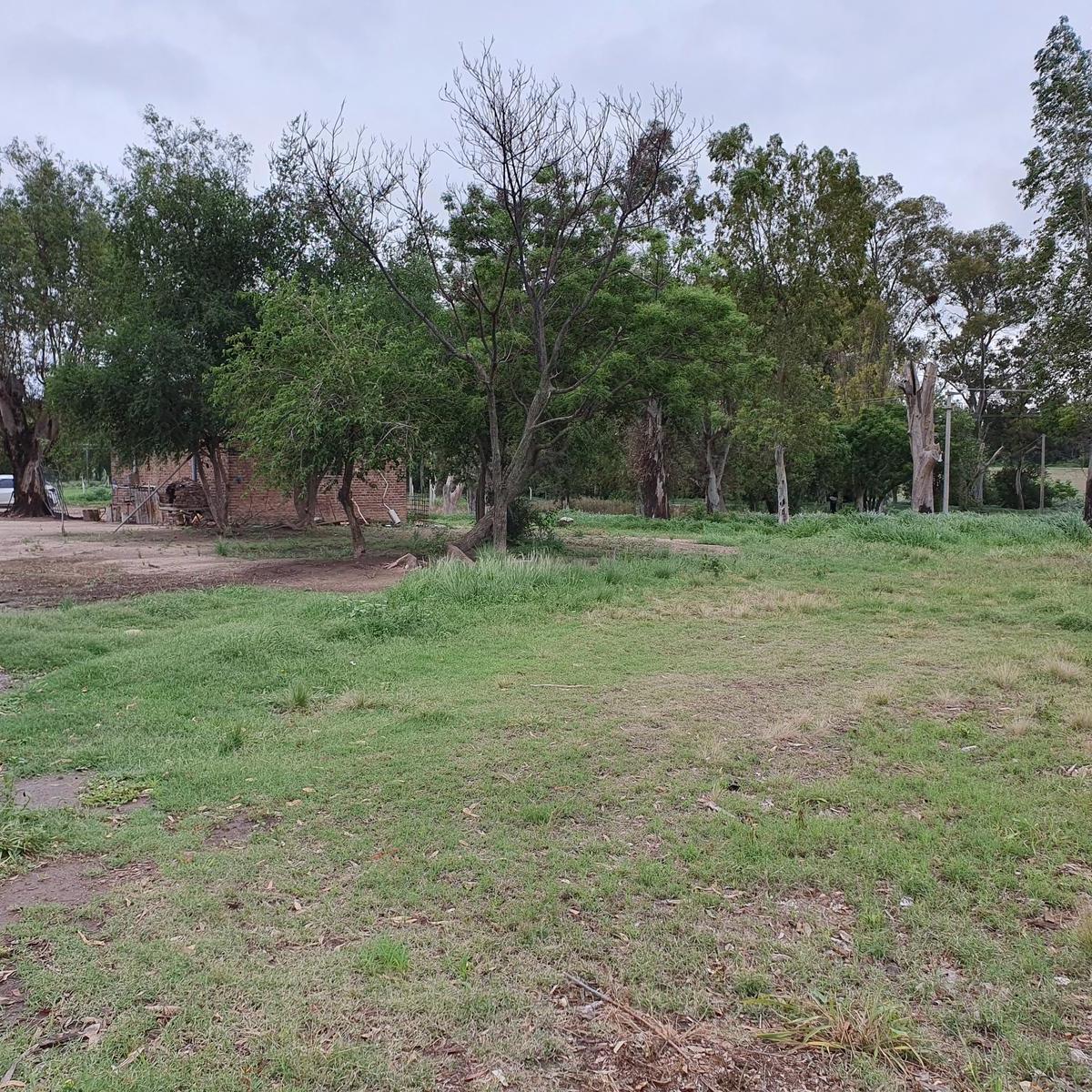 Campo 9 Has Av San Martin Colonia Caroya 2