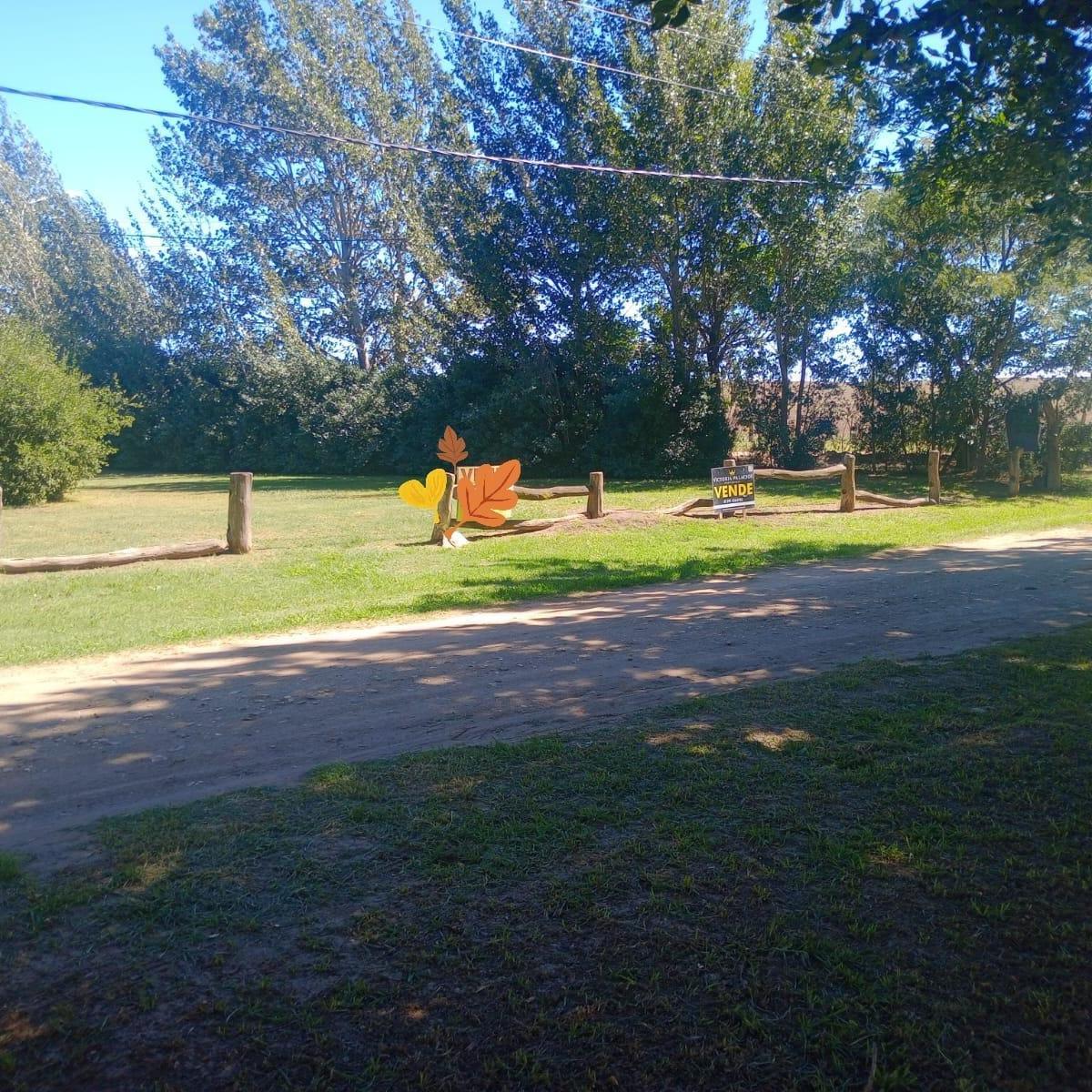 Se Venden Dos Lotes en Sierra! 4