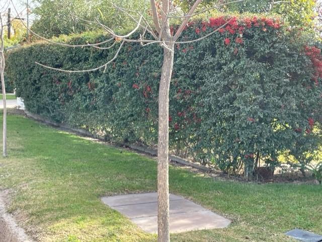 Club de Campo Mendoza 5