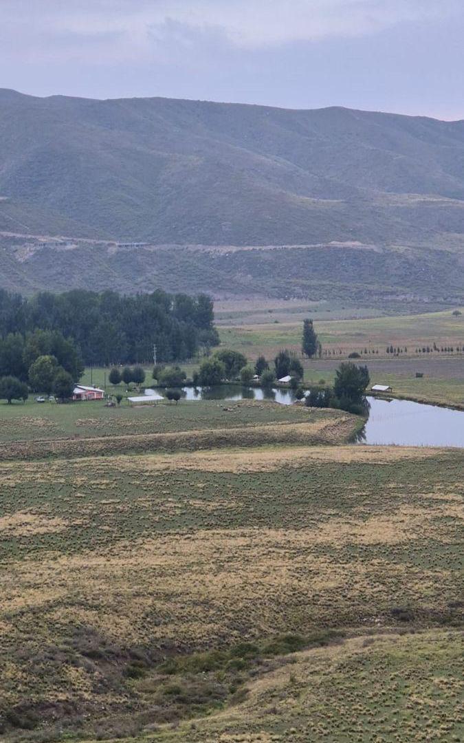 Foto de ESTANCIA EN LA CARRERA - TUPUNGATO, imagen 2
