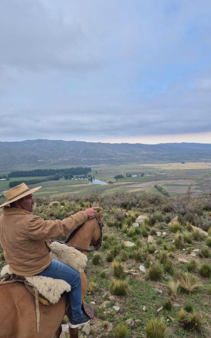 Foto de ESTANCIA EN LA CARRERA - TUPUNGATO, imagen 5
