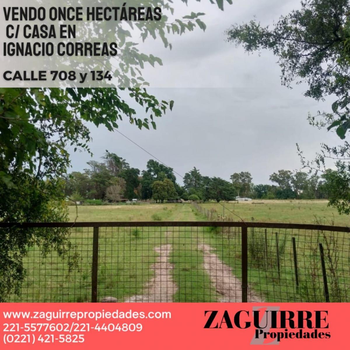 Foto de Vendo 11 HAS en Ignacio Correas con mejoras, casa con galpón y añosa, imagen 4