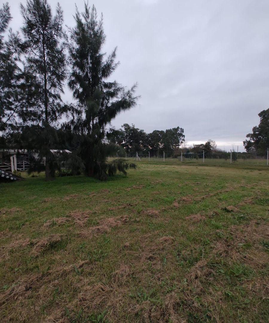Vendo amplio terreno de 49,80 mts de frente por 135 mts de fondo