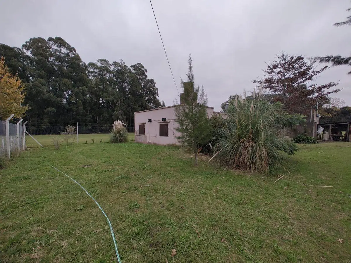 Vendo amplio terreno de 49,80 mts de frente por 135 mts de fondo 4