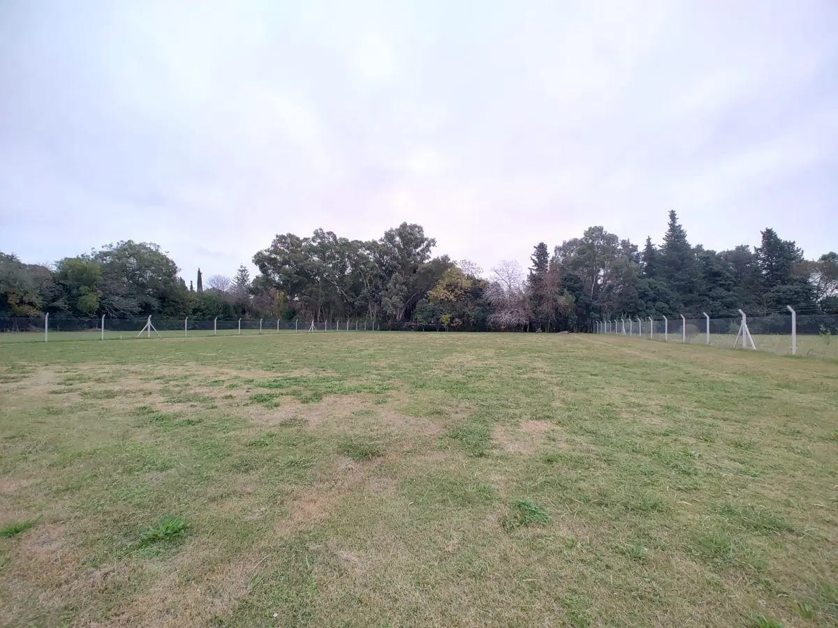 Vendo amplio terreno de 49,80 mts de frente por 135 mts de fondo 3