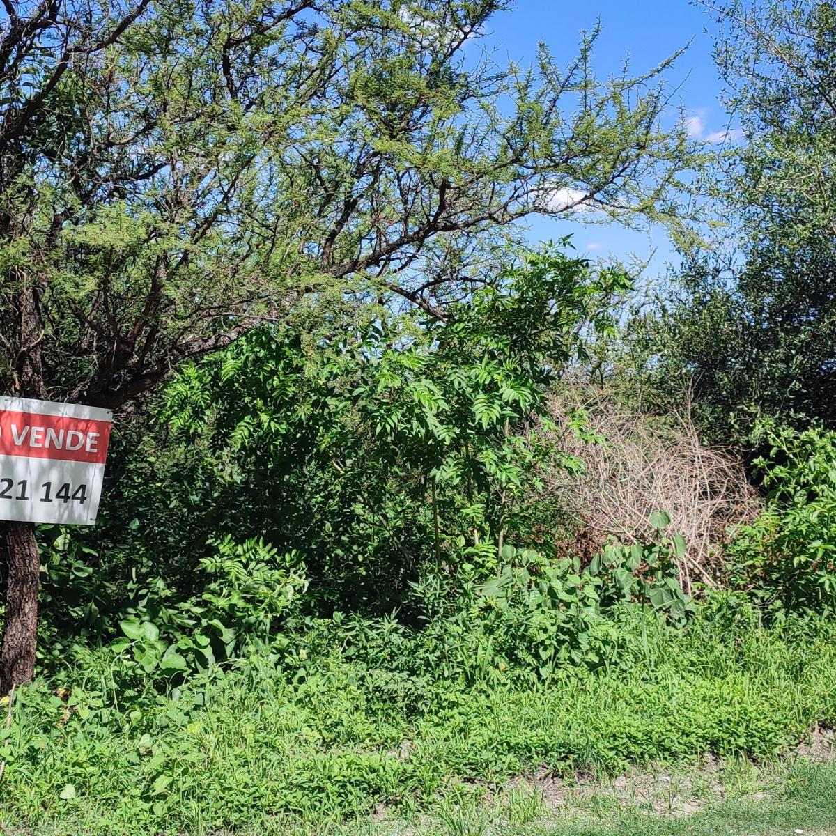Dueña Vende Terreno en La Mejor Zona de La Bolsa 1