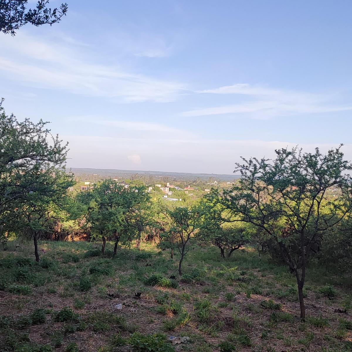 Dueña Vende Terreno en La Mejor Zona de La Bolsa 5