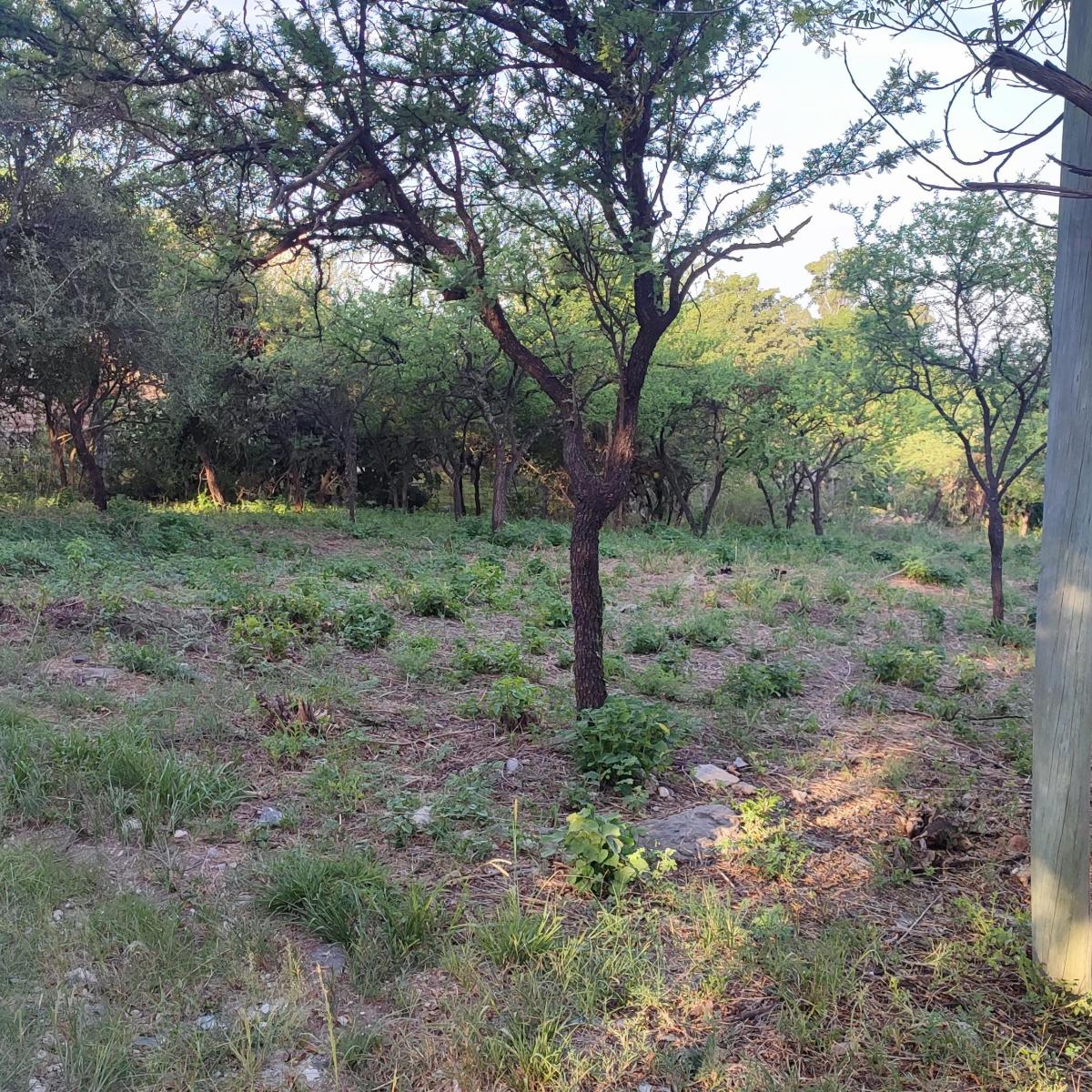 Dueña Vende Terreno en La Mejor Zona de La Bolsa 3