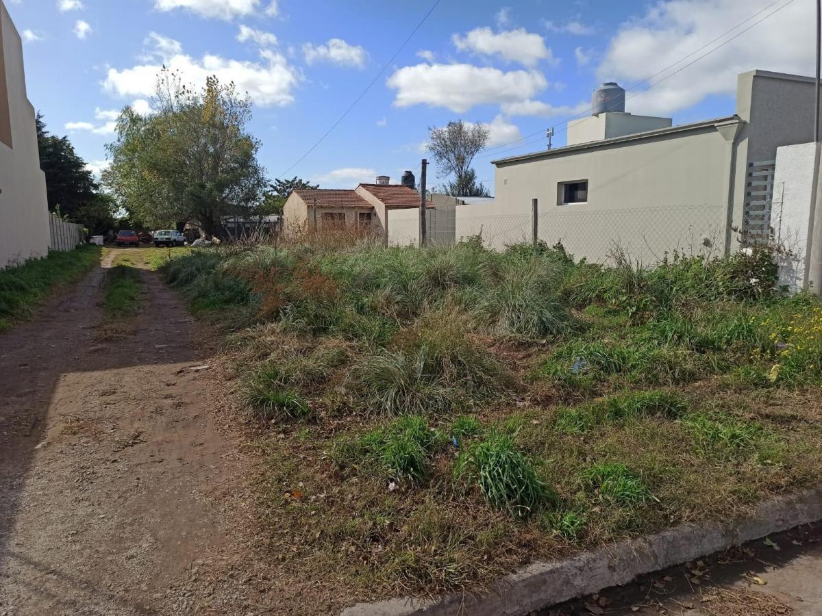 Lote Zona Mirage 1