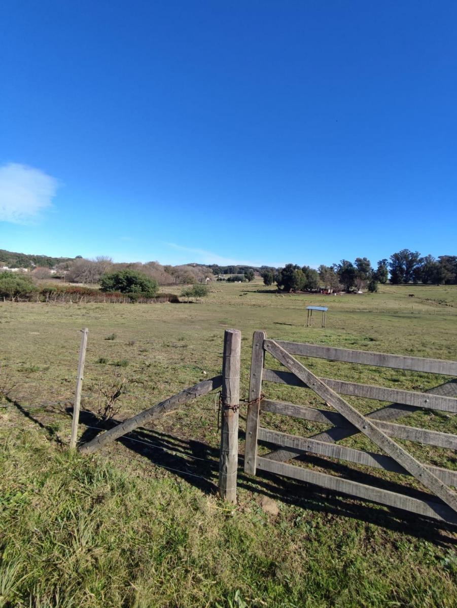 Lote Frente Al Dique Viejo 3