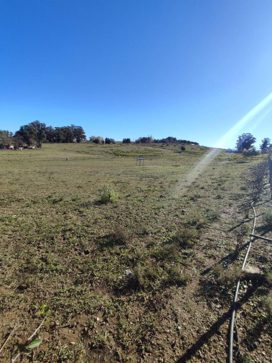 Lote Frente Al Dique Viejo 4