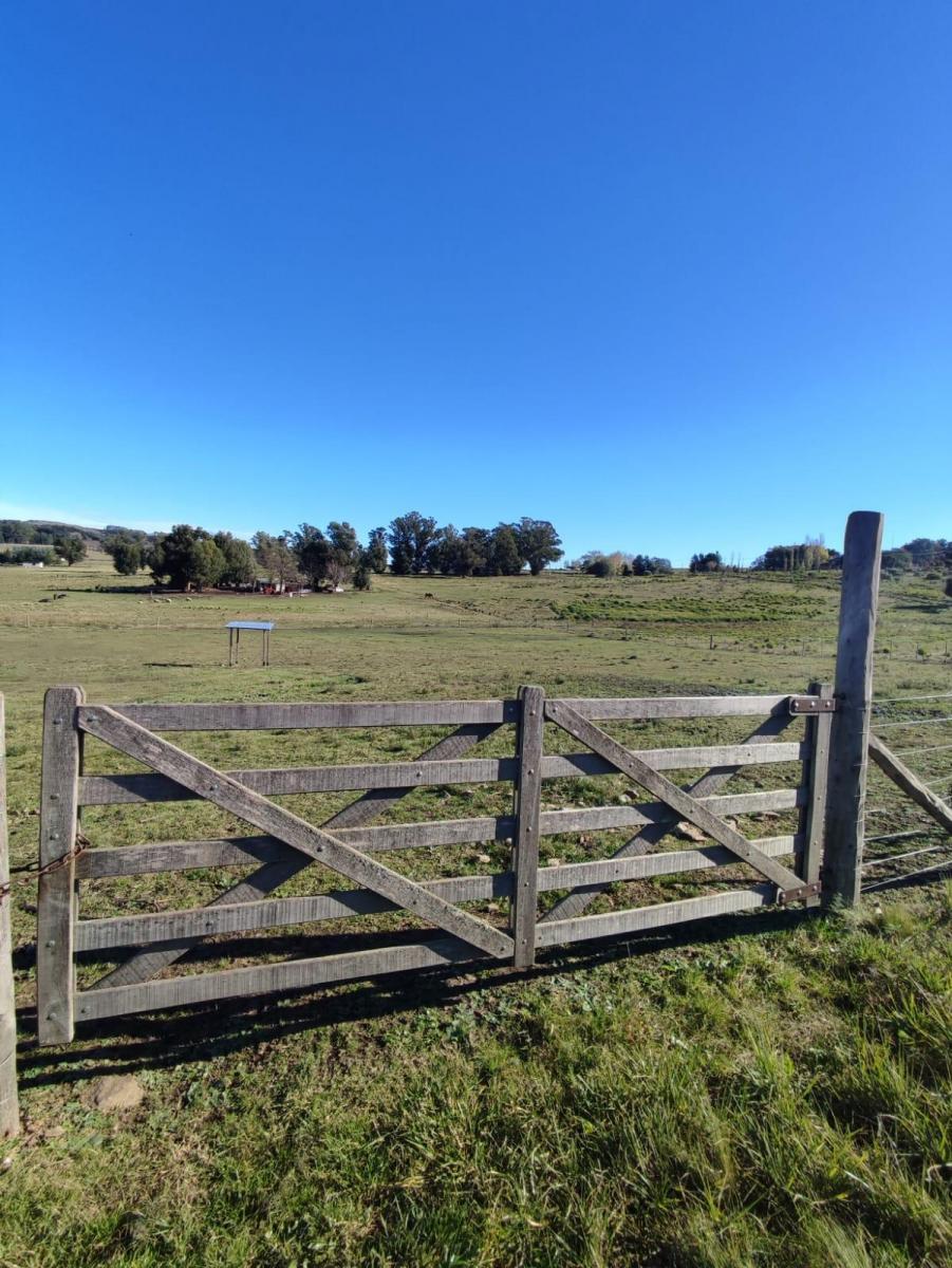 Lote Frente Al Dique Viejo 2