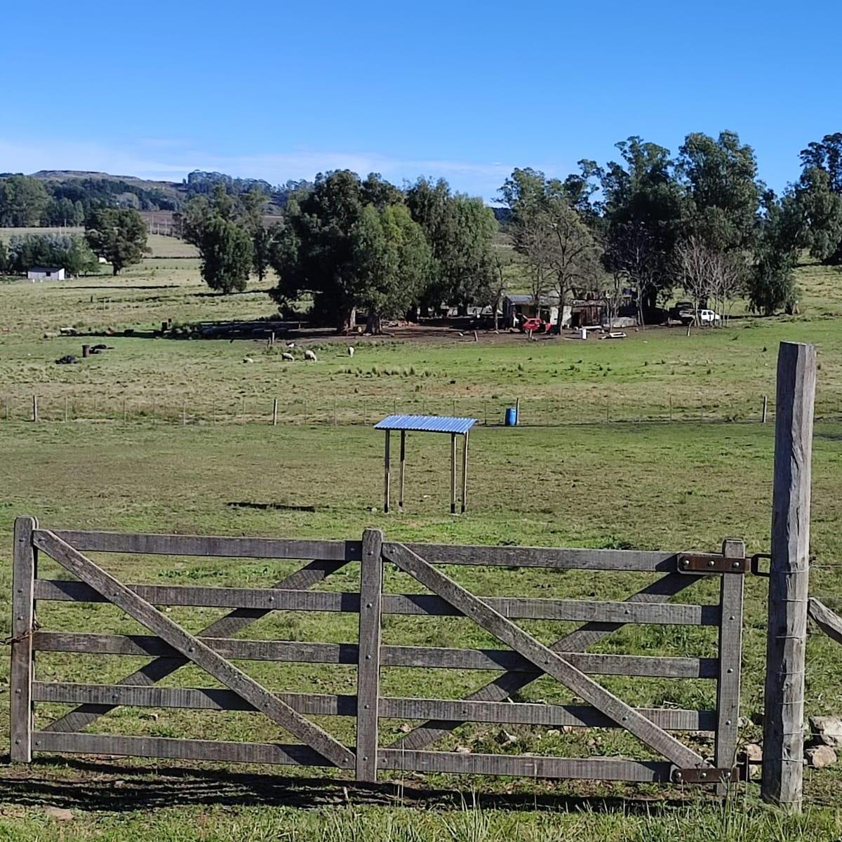 Lote Frente Al Dique Viejo 1