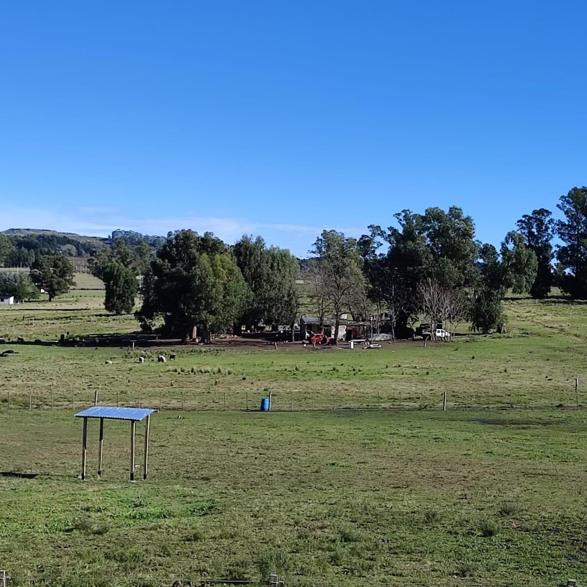 Lote Zona Dique Viejo 2