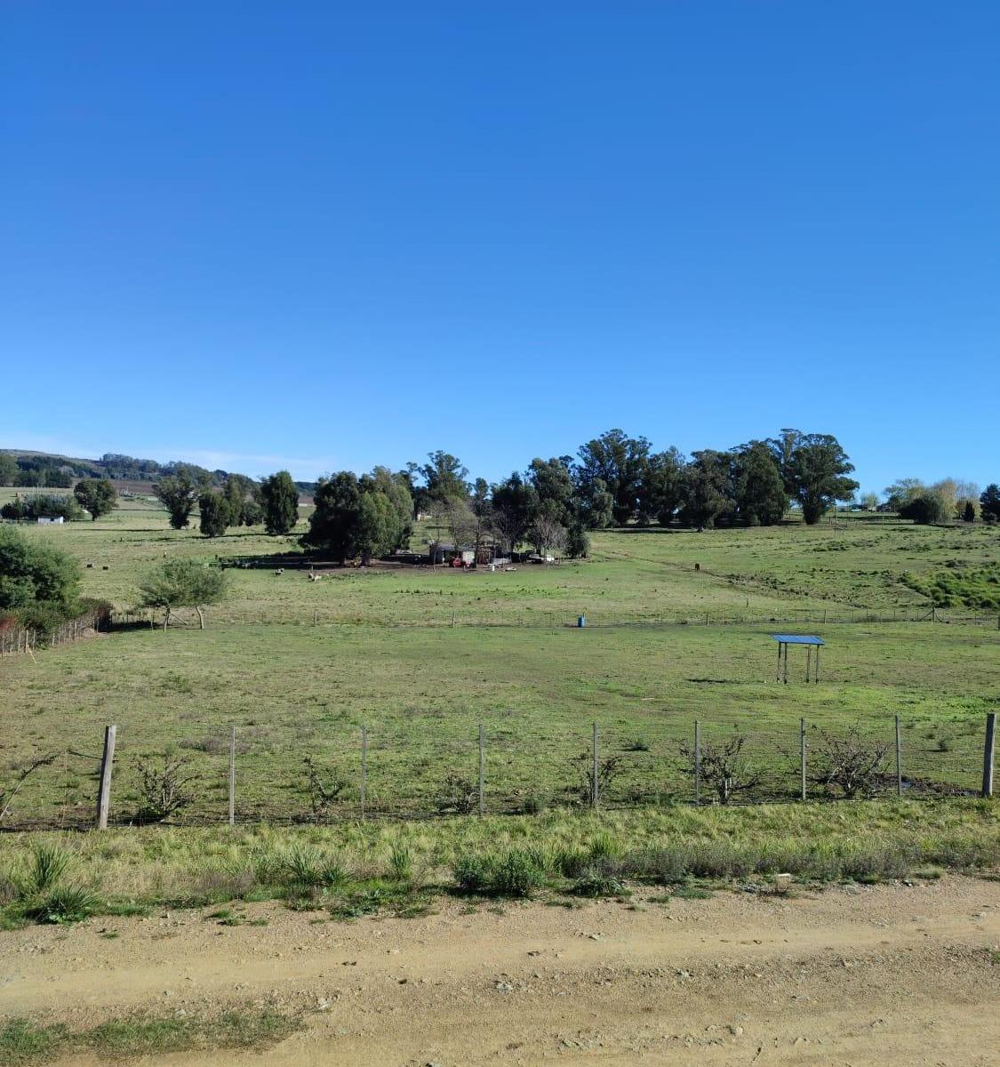 Lote Zona Dique Viejo 4