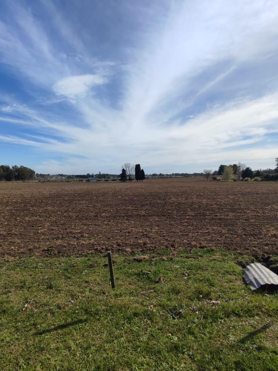 Hermosos Lotes de 8400 m² 3