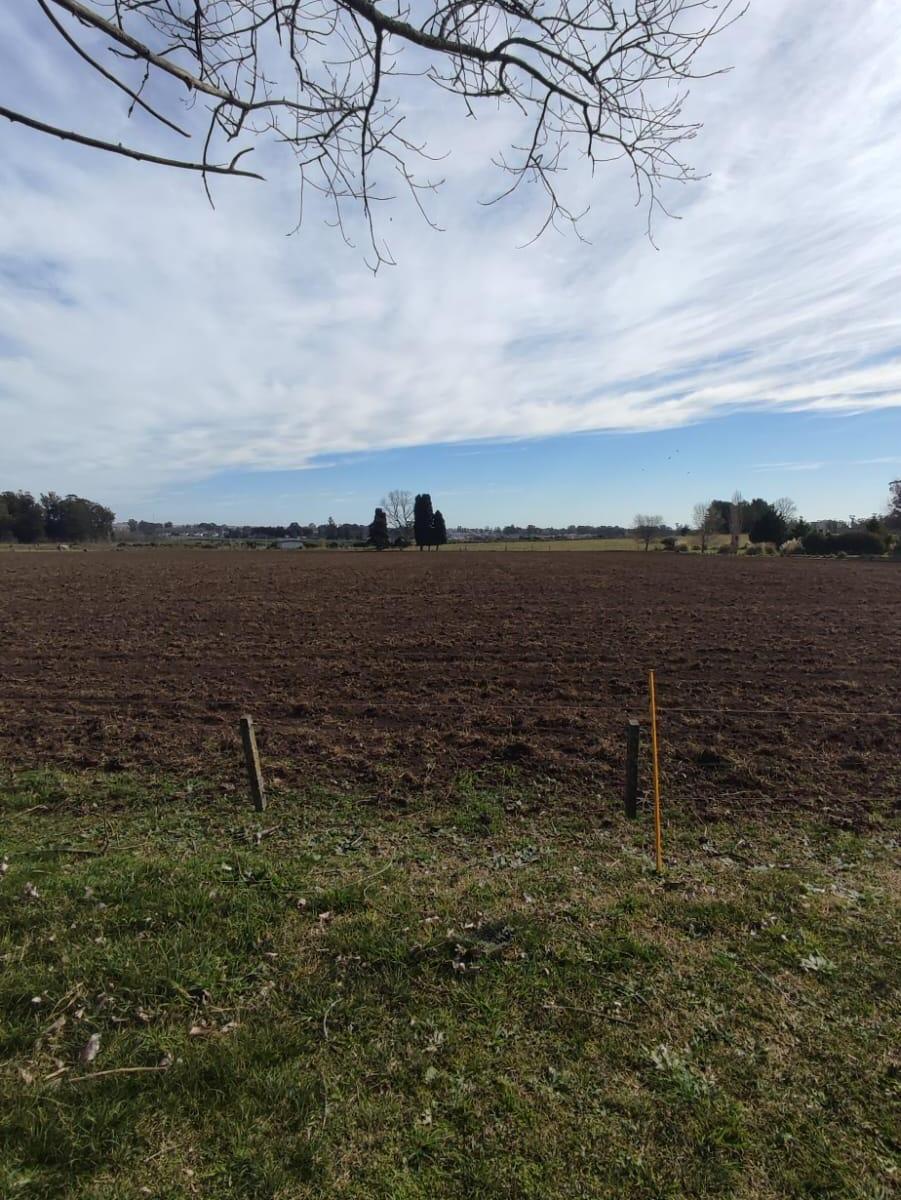 Hermosos Lotes de 8400 m² 5