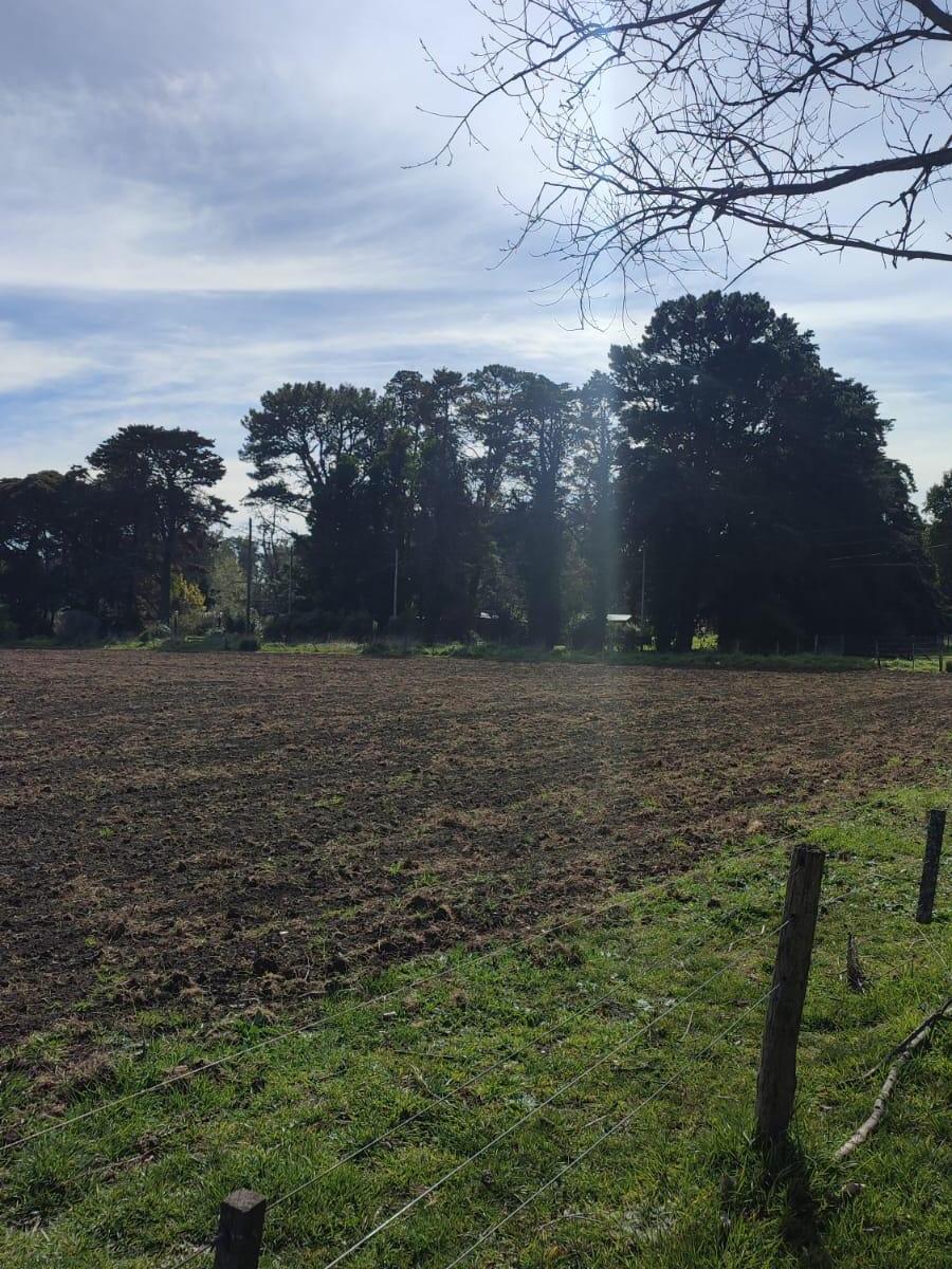 Hermosos Lotes de 8400 m² 4