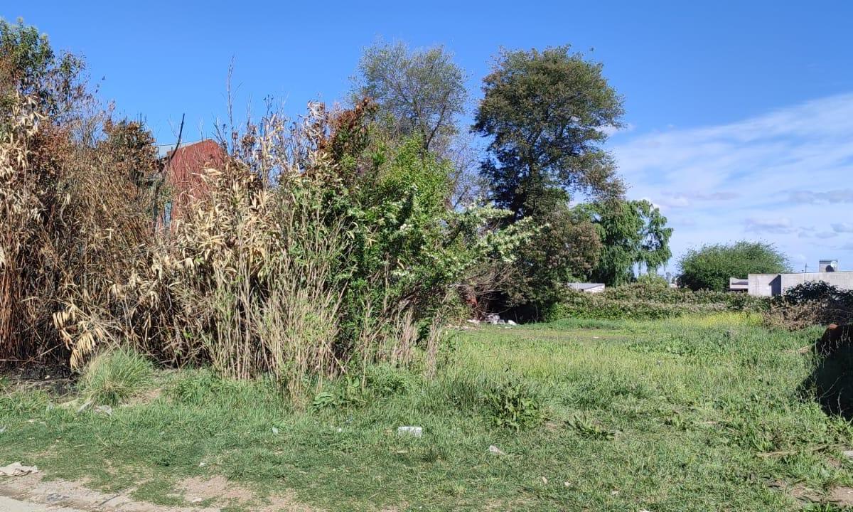Lote Calle Las Malvinas Divisible en PH 1
