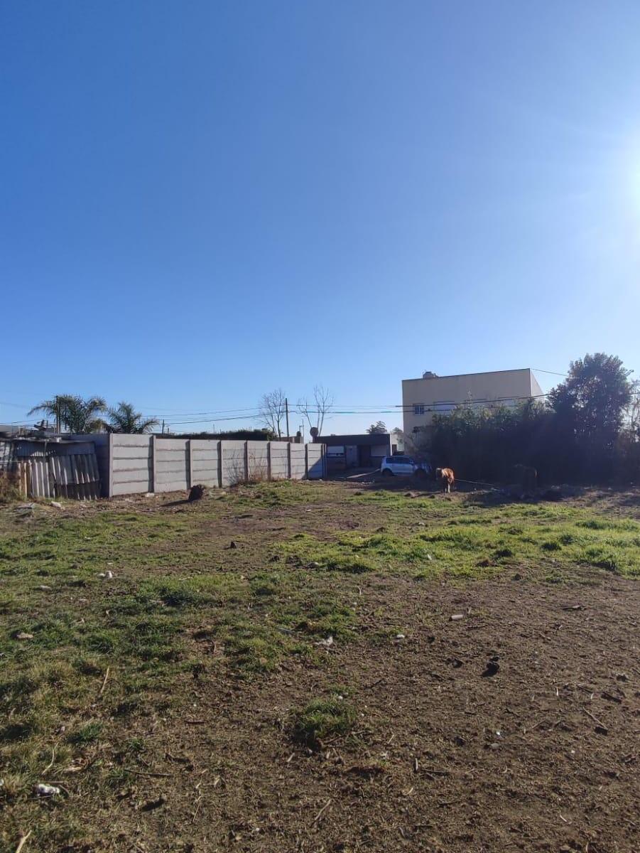 Lote Calle Las Malvinas Divisible en PH 2