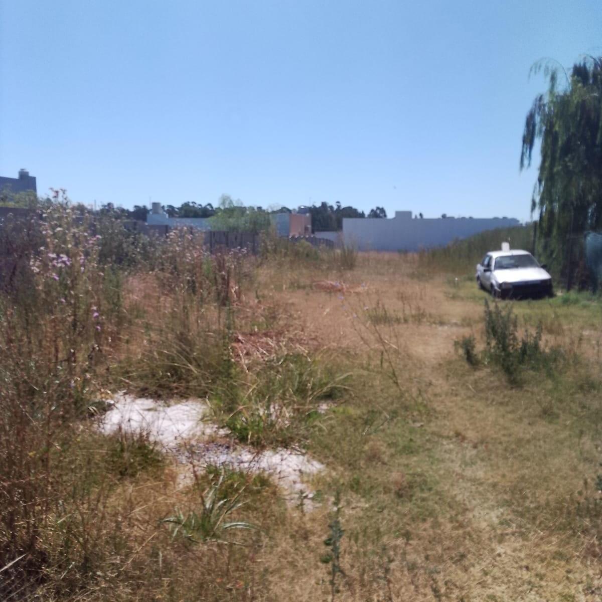 Lote en Barrio Palermo 3