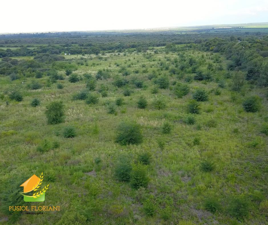 Campo Desarrollar en San Isidro 5