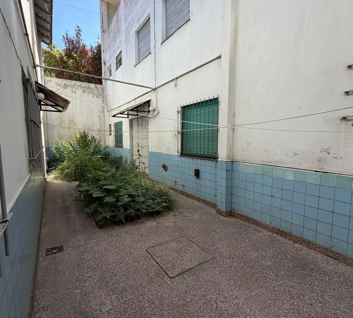 CASA APTO DESTINO COMERCIAL O PROFESIONAL - Plaza Mitre 5
